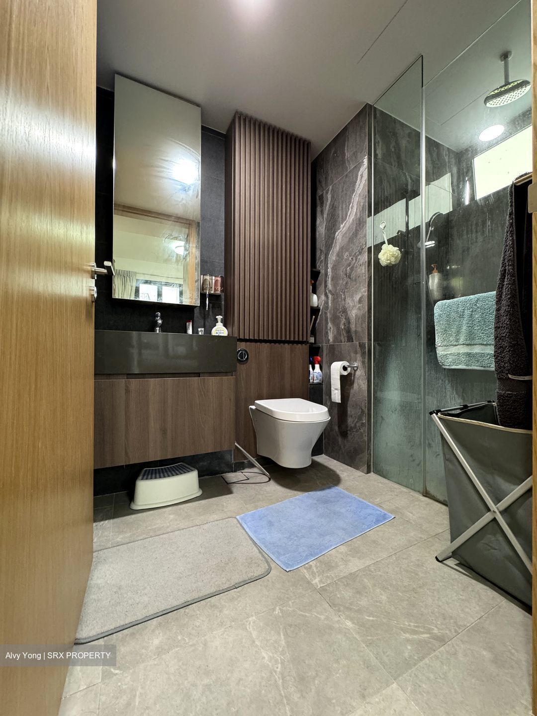 Midwood (D23), Condominium #546846901